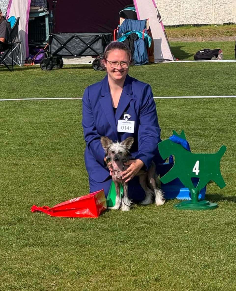 Queenie Goldstein Avokaduh