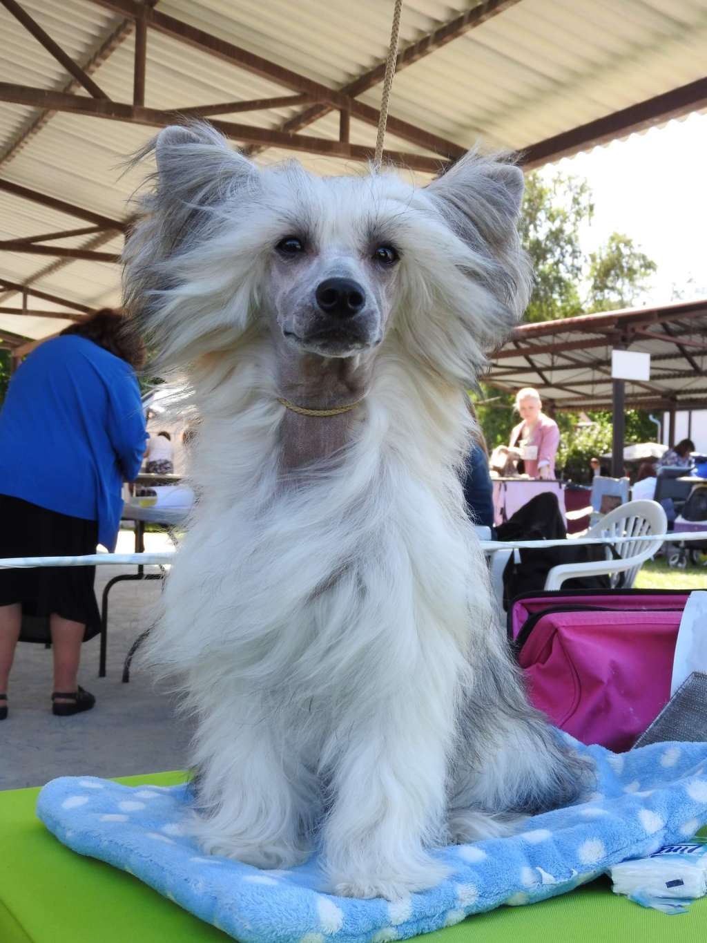 JACUMA Modern Family