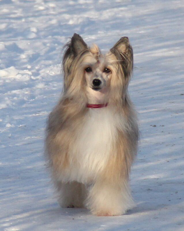 Queen Of My Heart Epocha