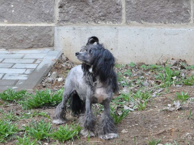 Zholesk Smoke on the Water