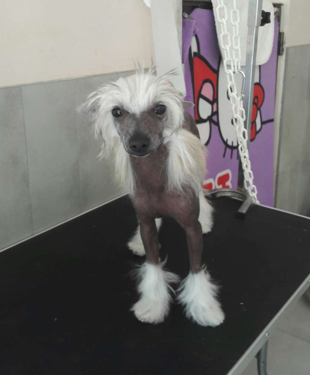 My Sweet Pepper Des Picholines