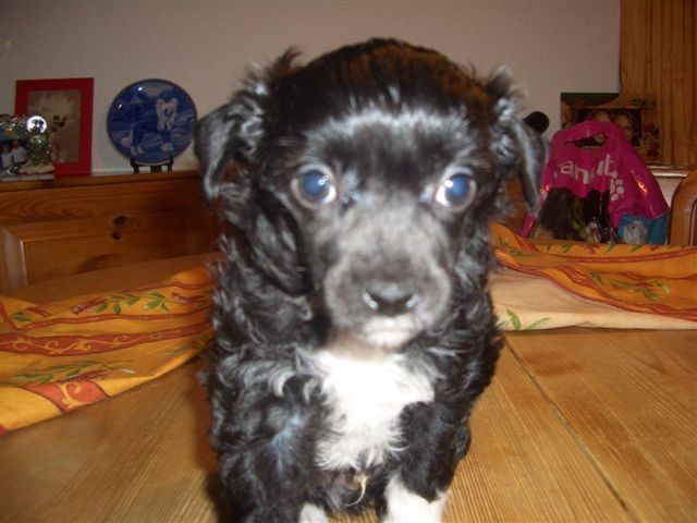 I'ts Fancy Fantasy Island