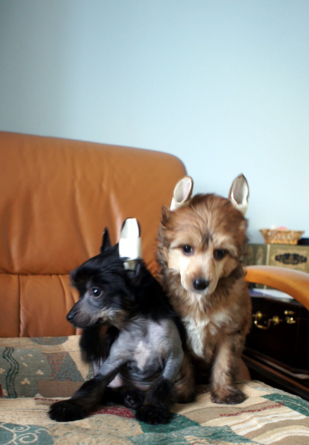 Endless Kiss Yujin bravo