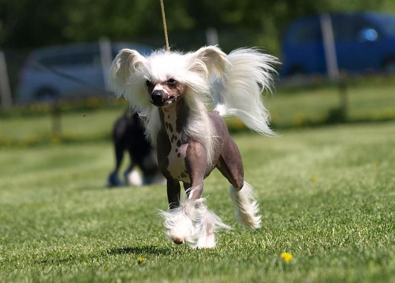 Sun-Hee's See Me Say Wow