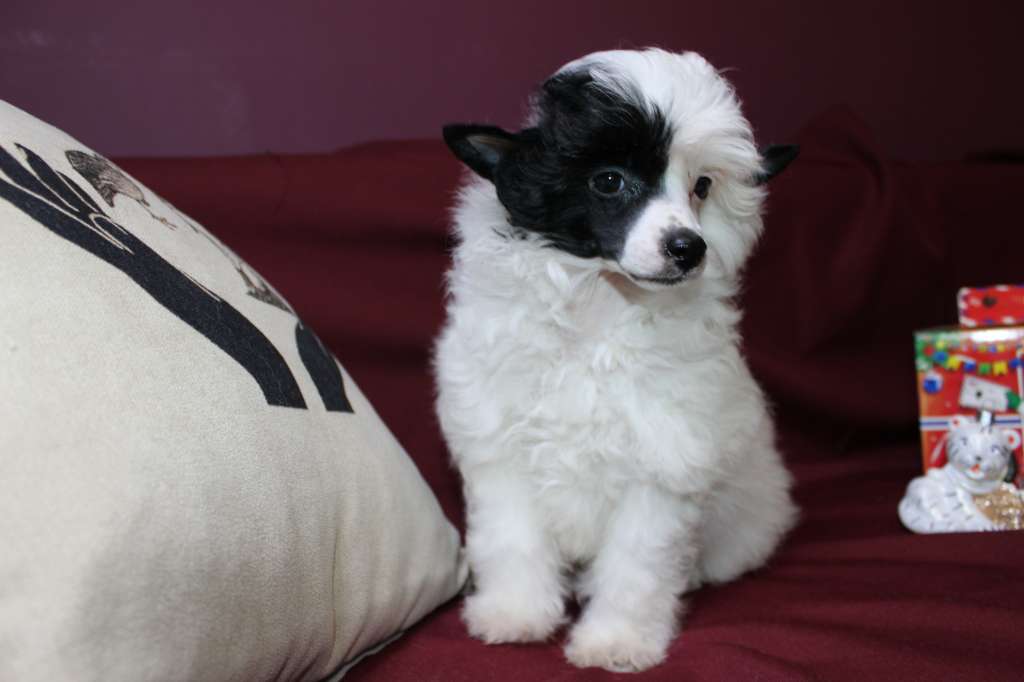 Ben  Quasar Miracolo Dell'anima