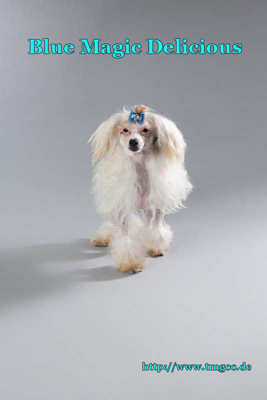 Blue Magic Delicious