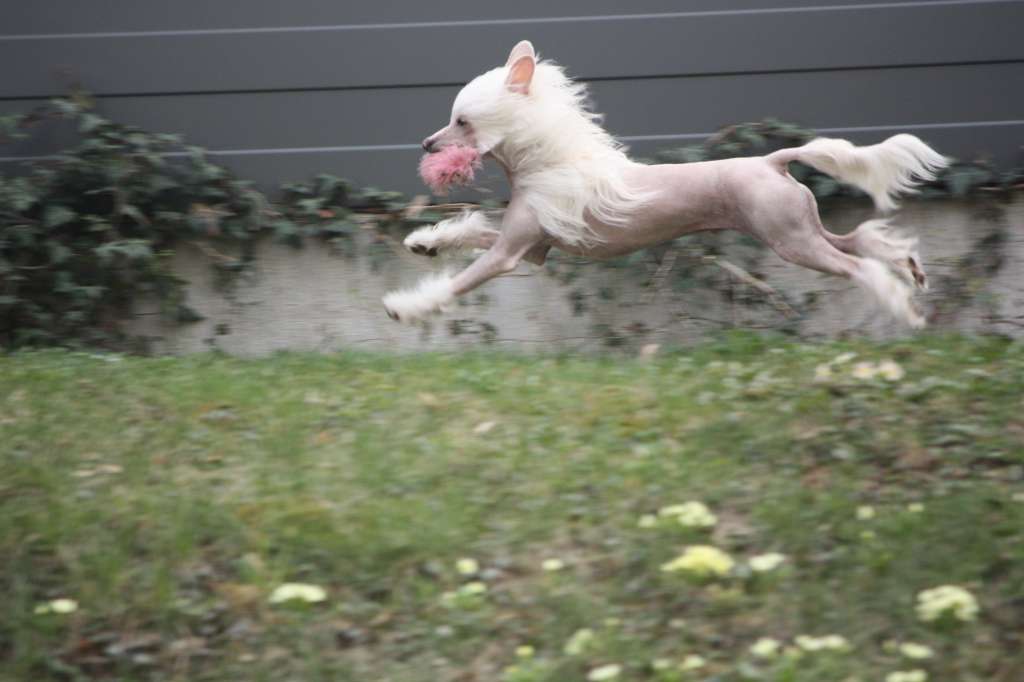 Little Rehma's Indian Dream