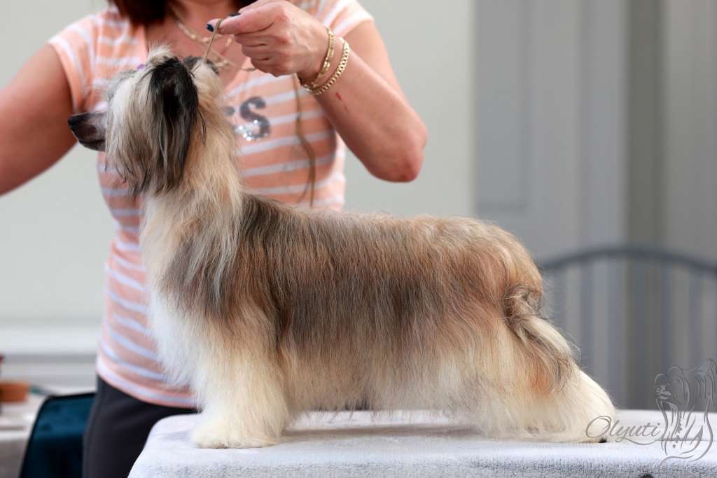 Island Vibes Gattaca