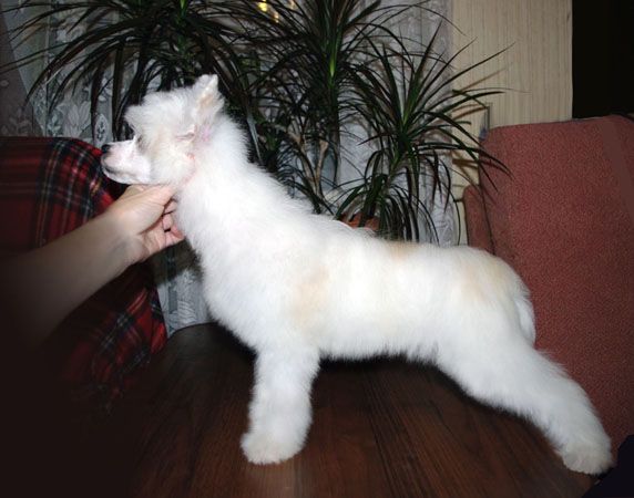 Futureline Felicie Anita