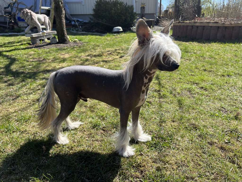 Joyway's Zelebrity To Nahkapartion