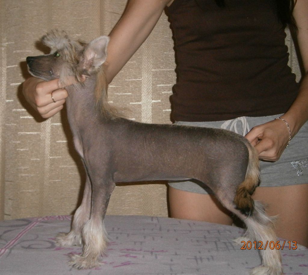 Picture