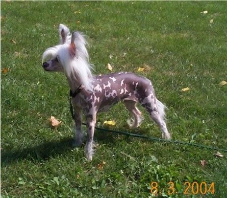 Jaya's Designer Fendi