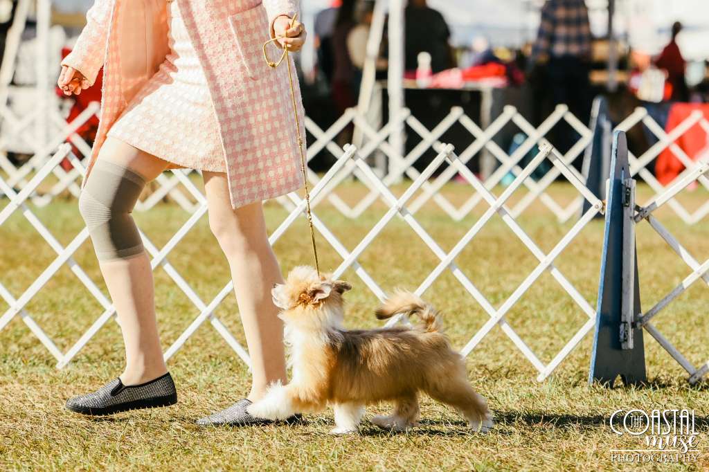 Cosmic's Creamsicle Cocktails On Ice