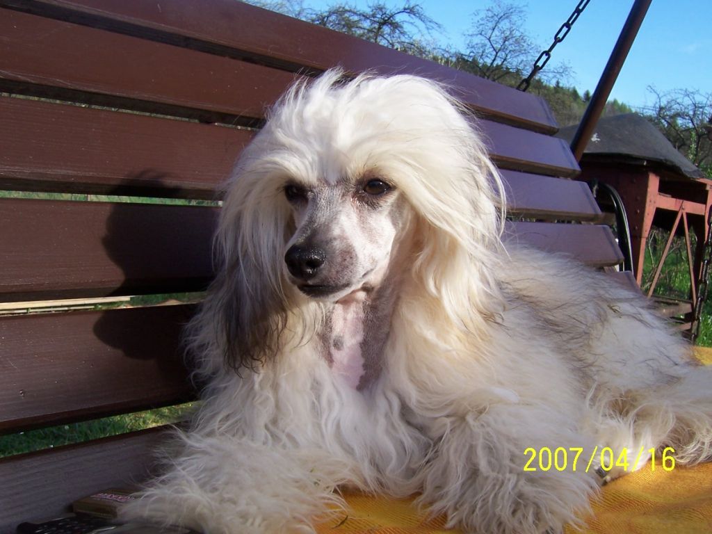 Chaitany Life Avokaduh