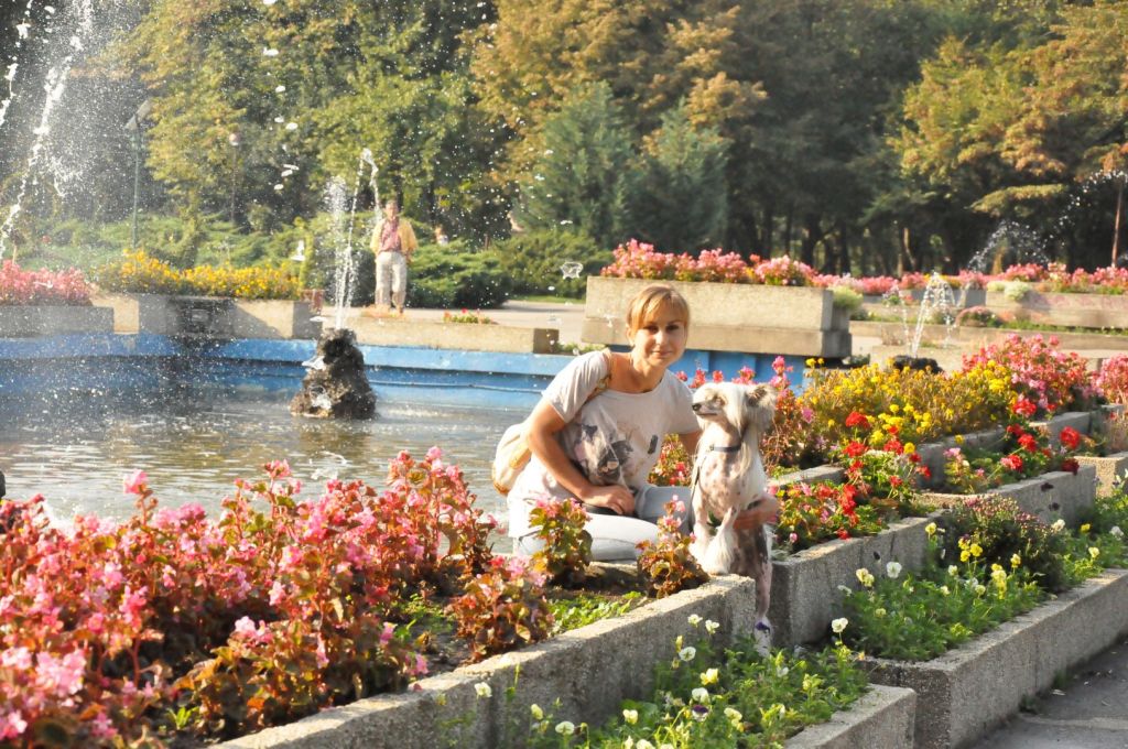 Angel O' Check Paradise