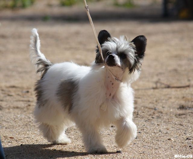 Crestwood Questions To Make