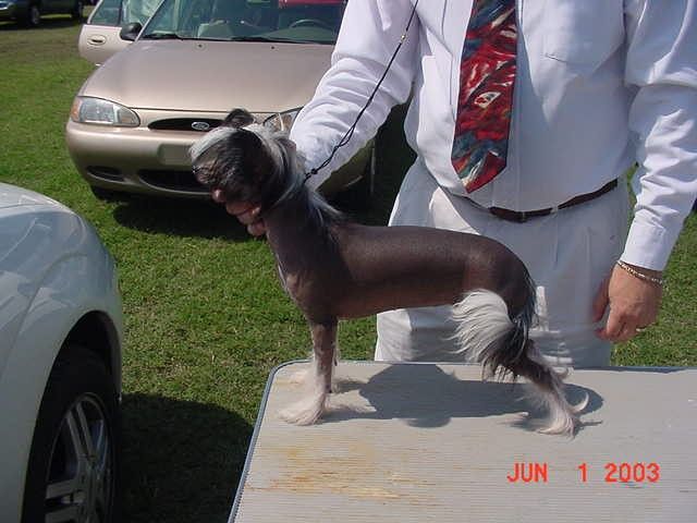 Evening Silhouette N'Co