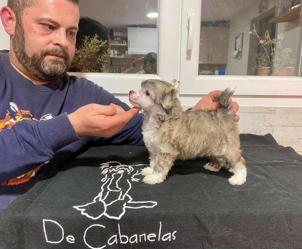 De Cabanelas Lady Soul Aretha