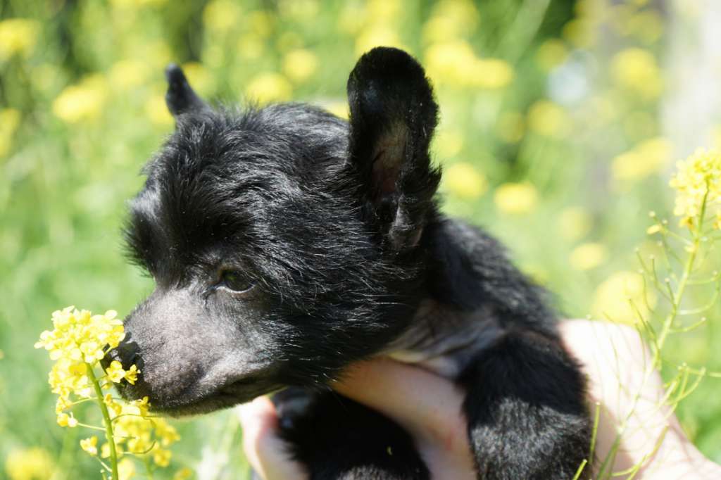 Sky Miracle Eros Ramazzotti