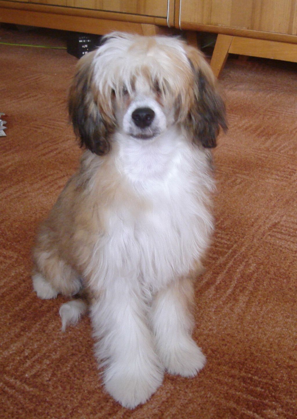 Marylin Kalis z Treste