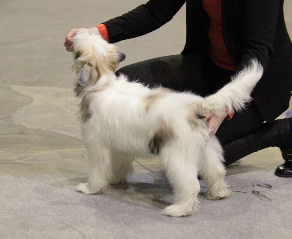 Tournais Goodmorning Sunshine