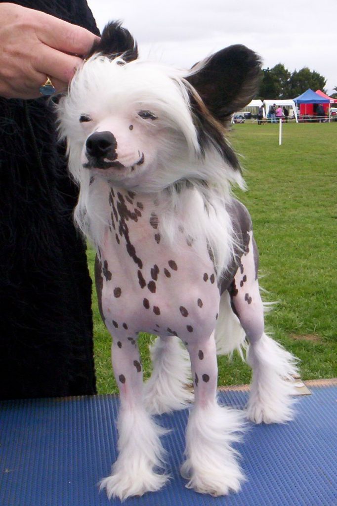 Meken Diamond Inthe Rough