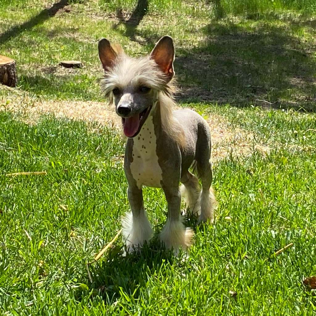 Yorkhouse Anthony Lucero