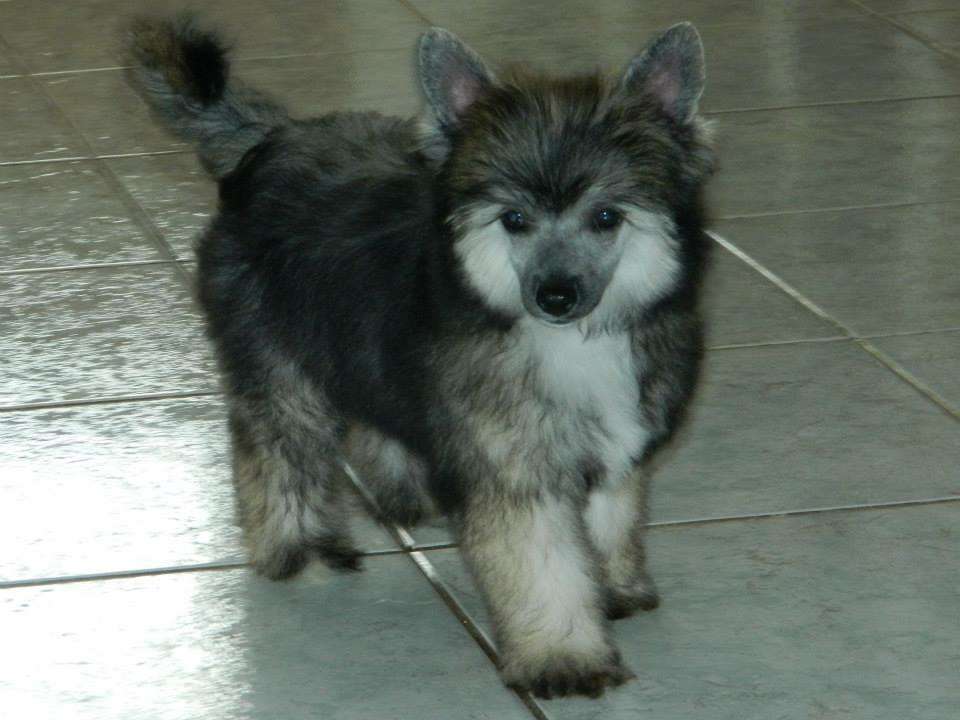 Jian Sol divinità della terra di casa megi