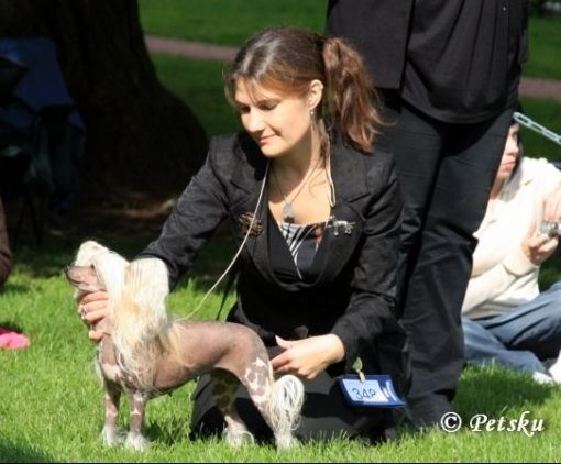 Joyway's Everlasting Love