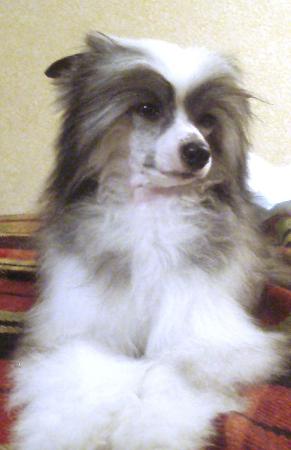 Picture