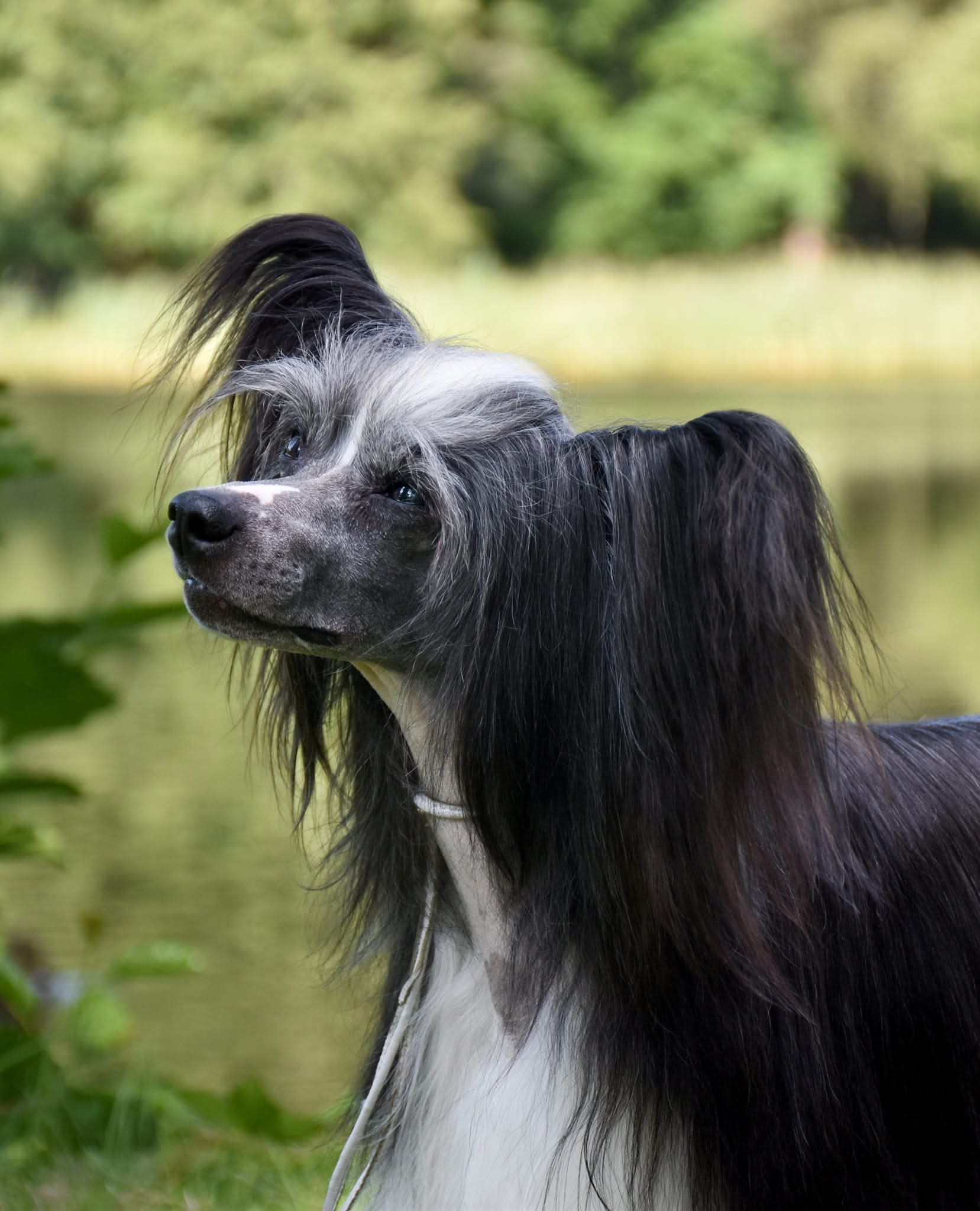 Inya Dreams Not Just A Pretty Face