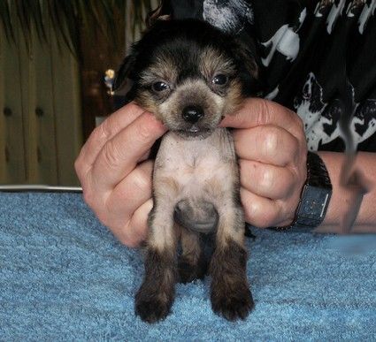 Unchain my Heart de GabriTho