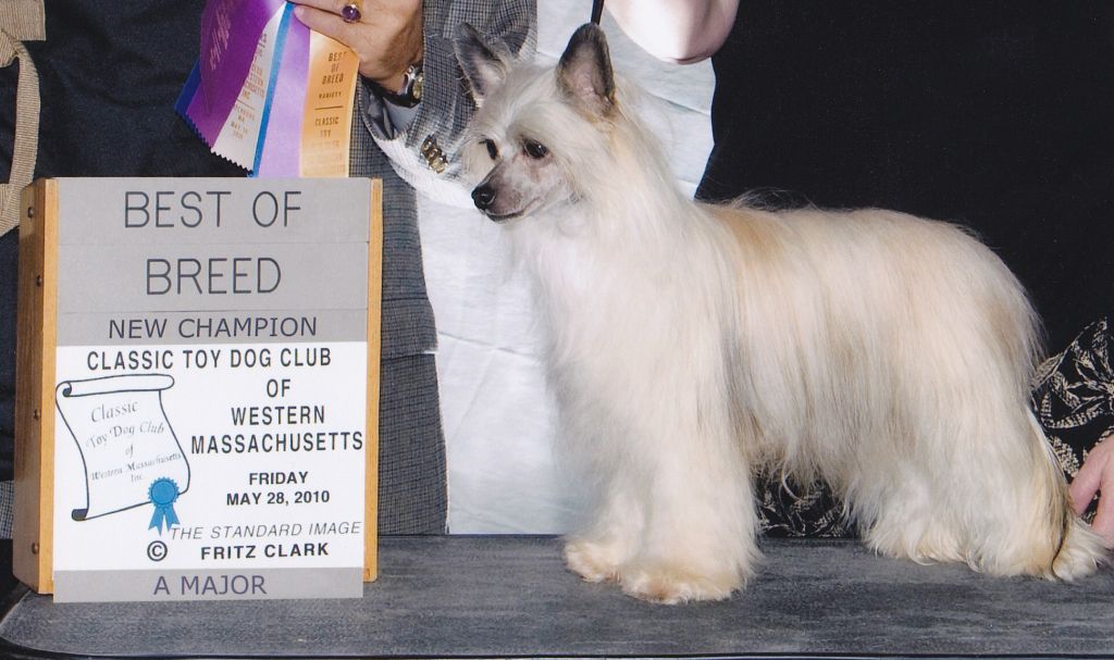 Tailgate's Don't Tell Her About Me