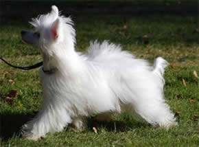 Tournais Friday The Thirteens