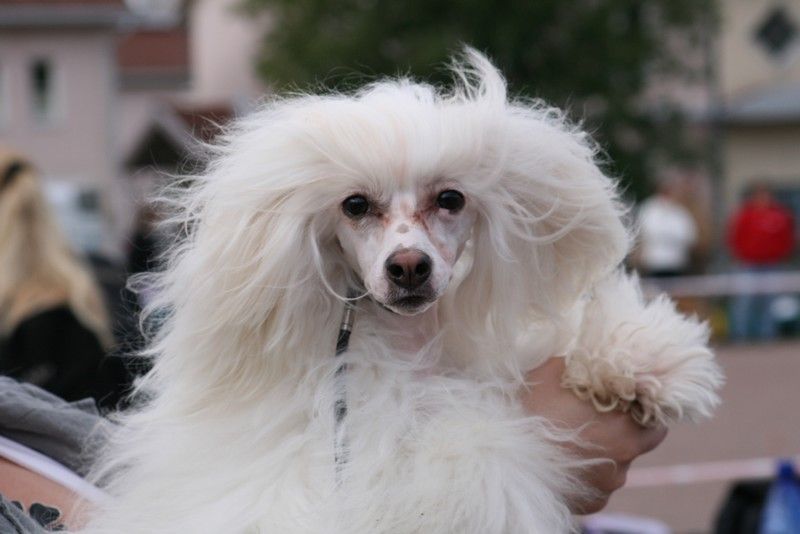 Sun Dan Virtual Reality