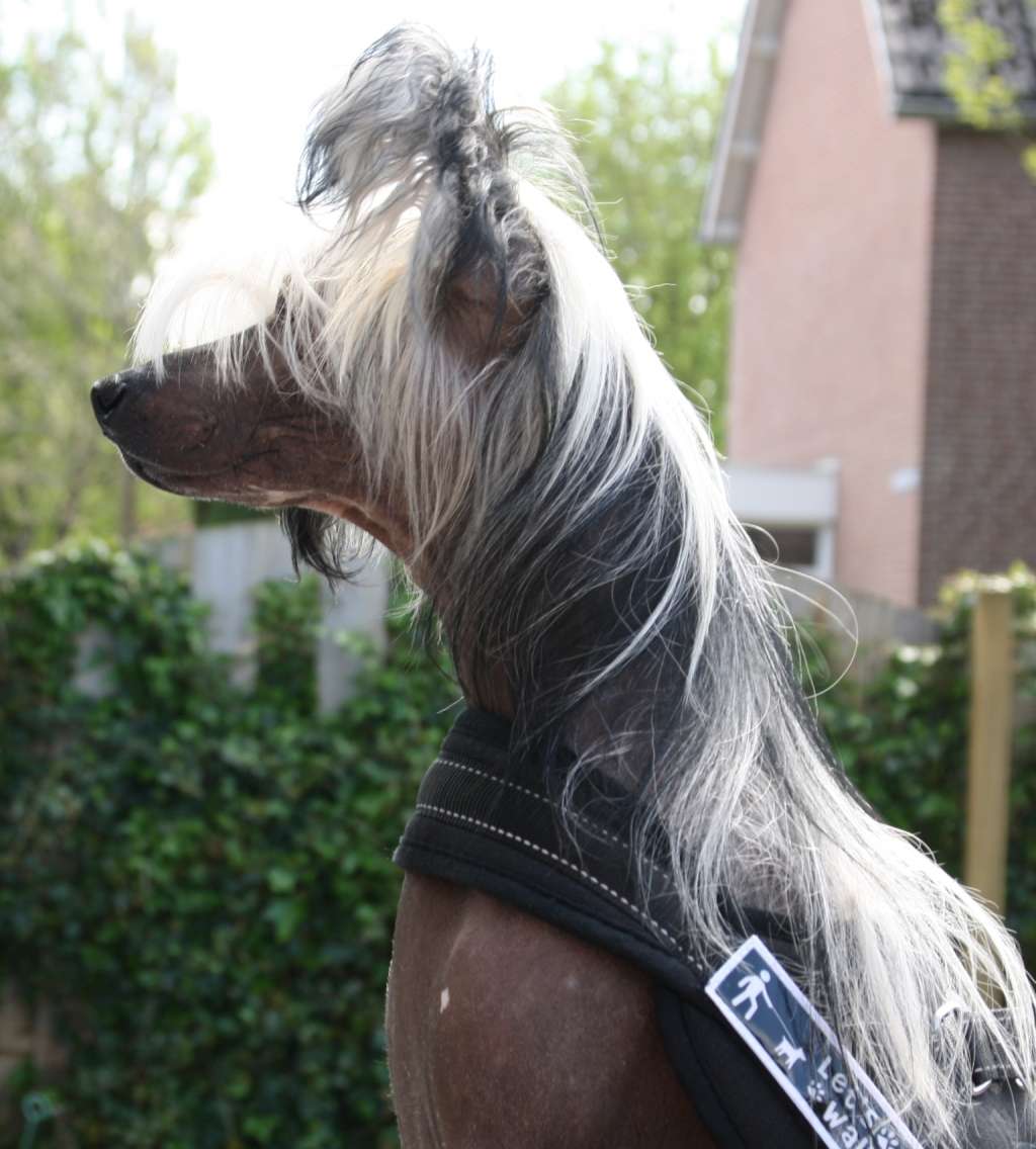 Spot On of Angel's Legacy