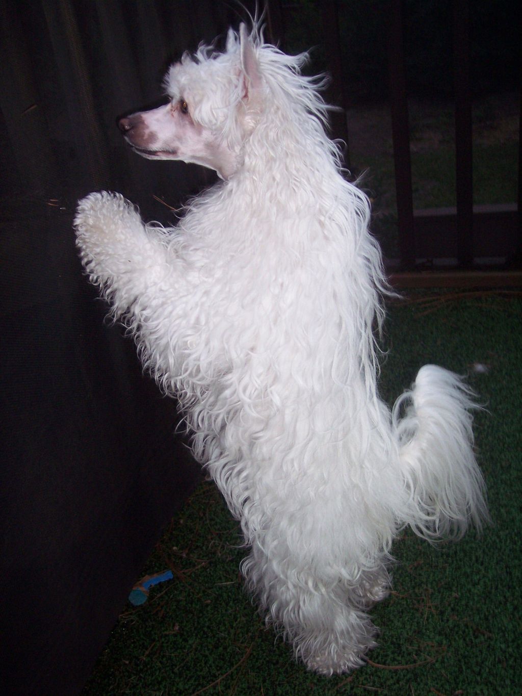 Makara's Work Of Art