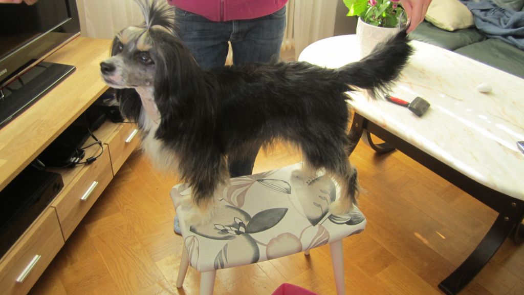 Beachcrest Sweet Caroline