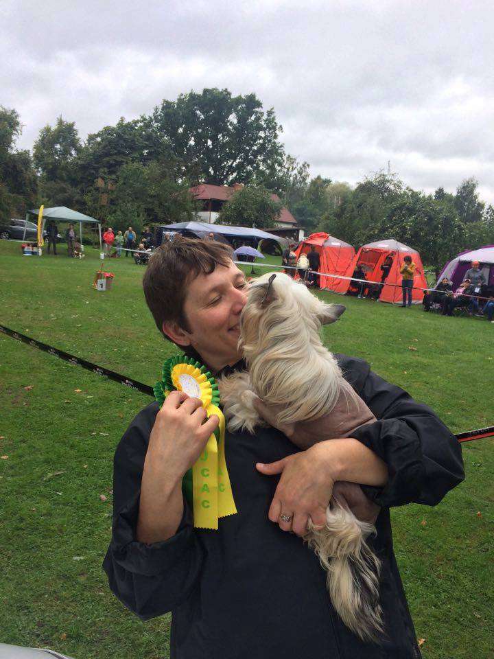 Golden Diamond Cresteds Lolly Poppy