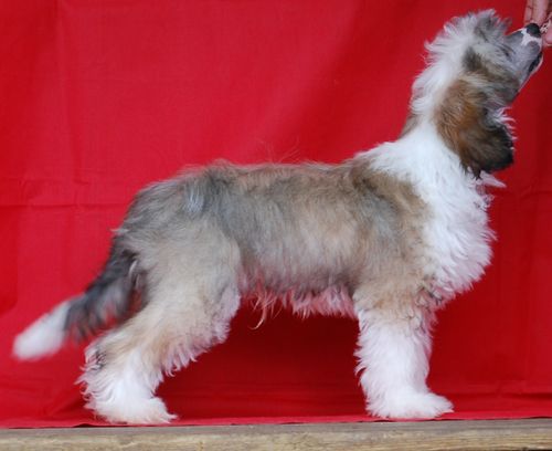 Väråsen Keeping Quality