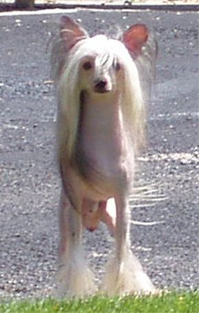 Picture