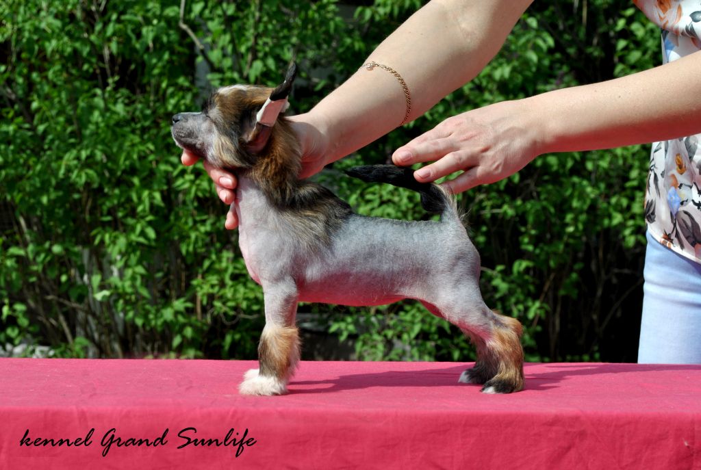 Grand Sunlife Ming Shu