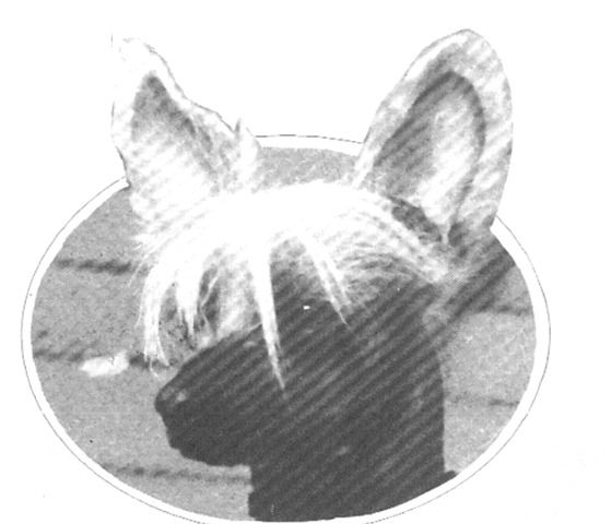 Hackensack Abla Khan