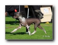 Chattanooga's Far Out