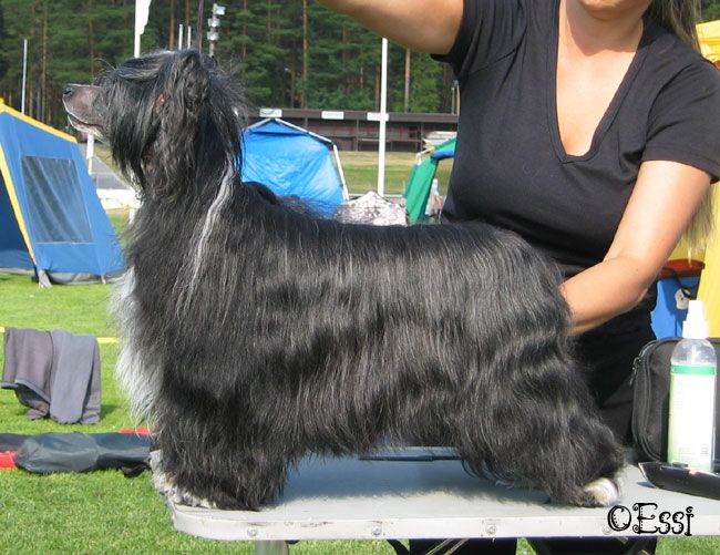 Stormblåstens Archane Power