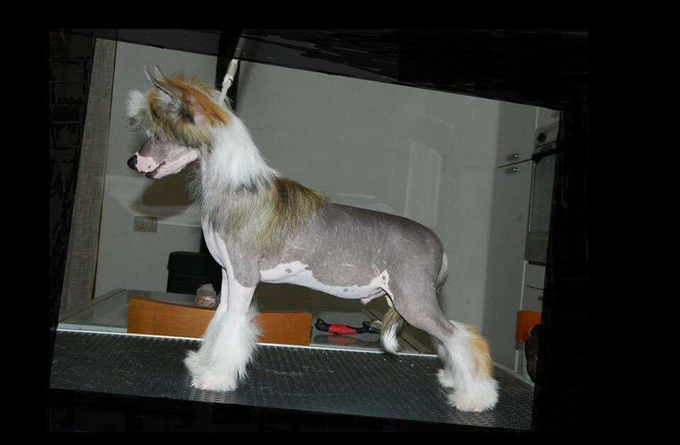 Di Casa Megi Giove Dio Sovrano