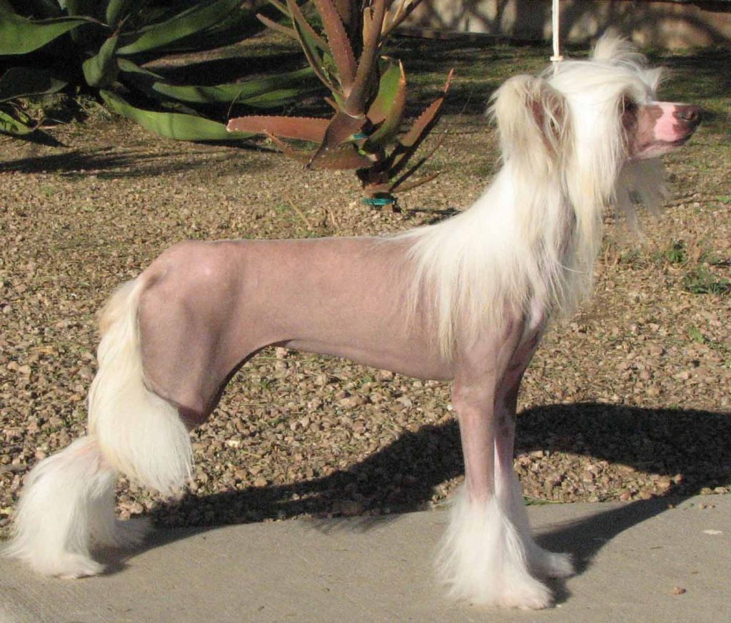 Crest-Vue's Natural Beauty