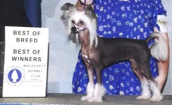 Camelot's Yucatan's Julia Tailgate