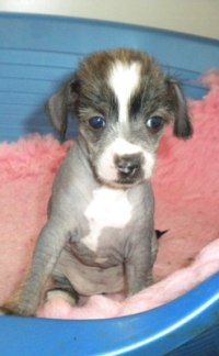 Yrar I Believe In Love