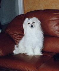 Annorlundas Billy Boy